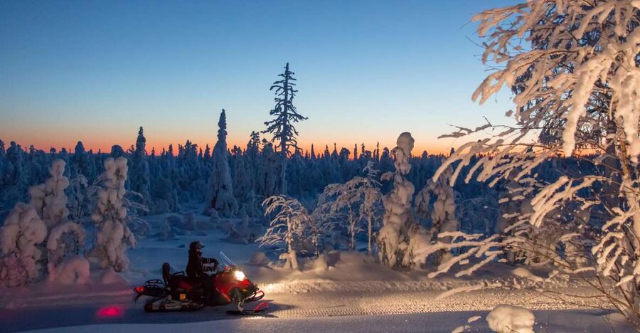 Rovaniemi: Snowmobile Safari & Campfire Evening Escape - Price and value: what $175 buys you in real terms