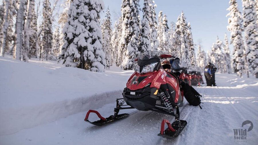Rovaniemi: Snowmobile Safari into the Arctic Circle Forest - Driving Rules That Matter: 18+ With a Finnish B License Card in Your Pocket