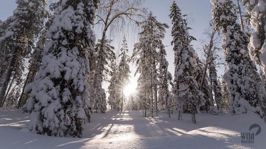 Rovaniemi: Snowmobile Safari into the Arctic Circle Forest - Family Setup: How Kids Ride in a Sled Pulled by the Guide