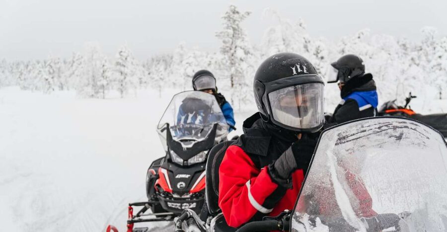 Rovaniemi: Snowmobile Safari, Reindeer & Husky Sleigh Ride - Reindeer sleigh ride plus the driving certificate: the “kid and adult” part