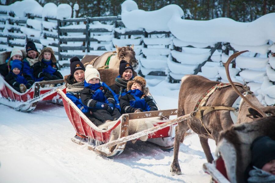 Rovaniemi: Snowmobile Safari to a Reindeer Farm - Guides and the human touch: what makes it feel smooth