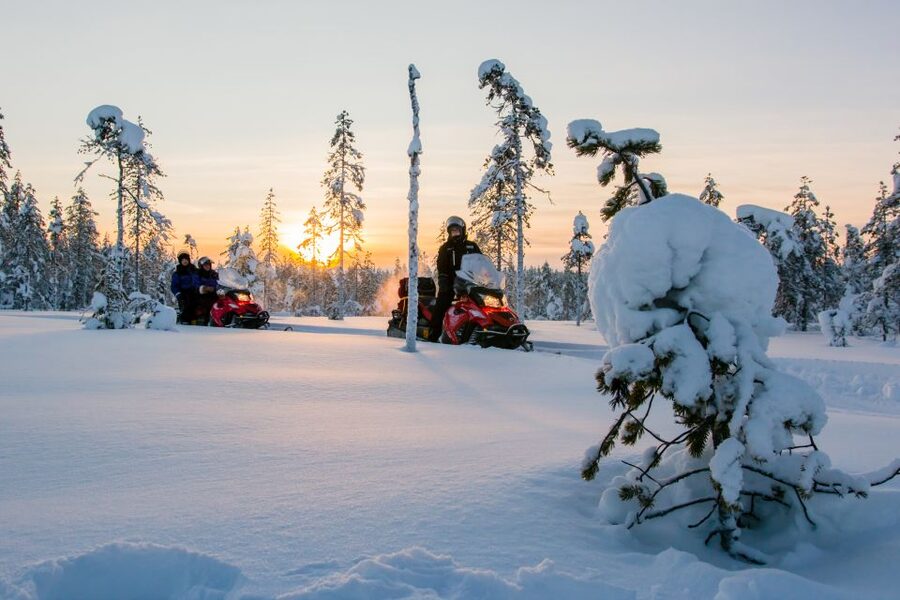 Rovaniemi: Snowmobile Safari to a Reindeer Farm - Snowmobile Safari: what you control, what the guide controls