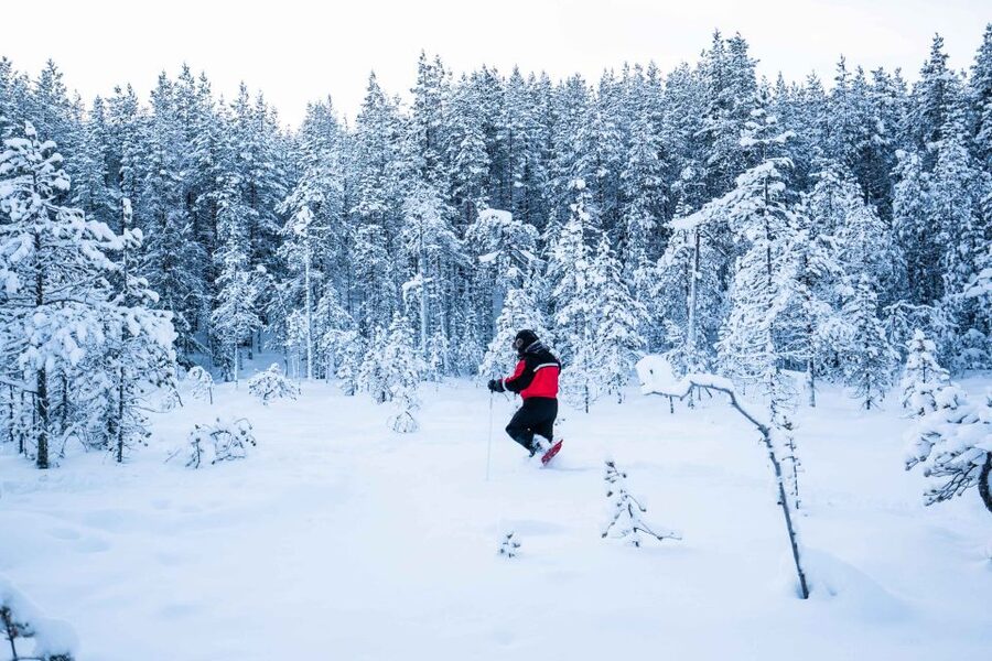 Rovaniemi: Snowshoe Wilderness Adventure with Photos & BBQ - Key highlights I’d plan around