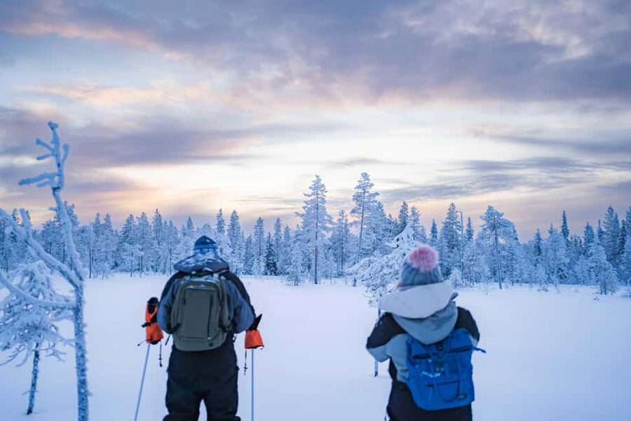 Rovaniemi: Snowshoe Wilderness Adventure with Photos & BBQ - The minivan ride to a hidden winter spot