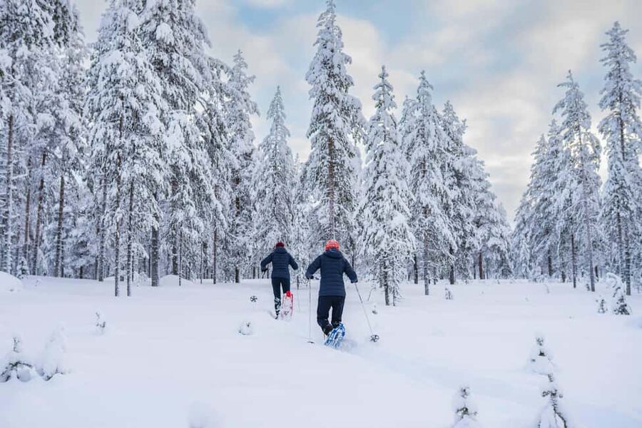 Rovaniemi: Snowshoe Wilderness Adventure with Photos & BBQ - The guided snowshoe walk: steps, safety, and photo chances