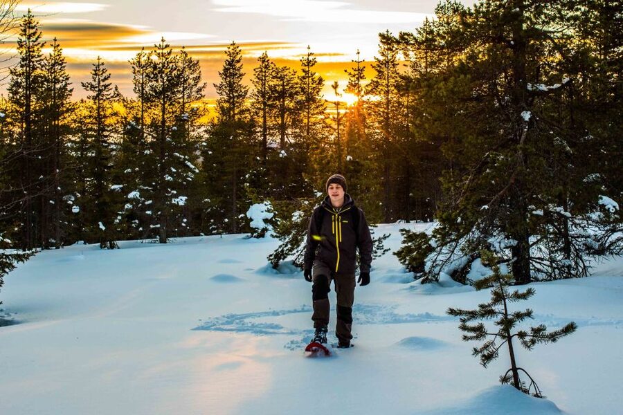 Rovaniemi: Snowshoe Wilderness Adventure with Photos & BBQ - The photo download afterward: what you actually get