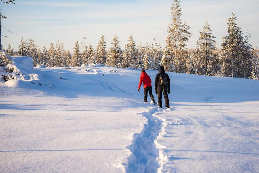 Rovaniemi: Snowshoe Wilderness Adventure with Photos & BBQ - Who this tour fits best, and who might want to skip it