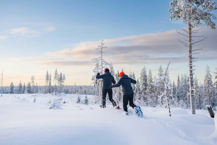 Rovaniemi: Snowshoe Wilderness Adventure with Photos & BBQ - Pickup, small-group pacing, and what to wear