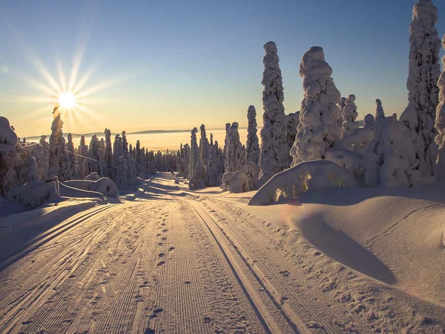 Rovaniemi: Snowshoeing, Ice Fishing and Salmon in Kota - Key things I’d plan around before you go