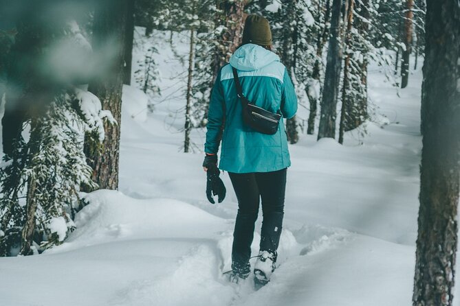Rovaniemi: Snowshoeing in a magical snowy forest - Key Highlights You Will Feel on the Trip
