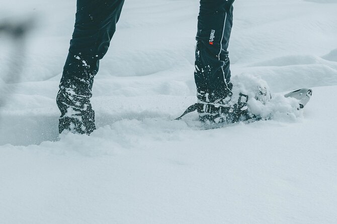 Rovaniemi: Snowshoeing in a magical snowy forest - Why This Rovaniemi Snowshoeing Feels Different