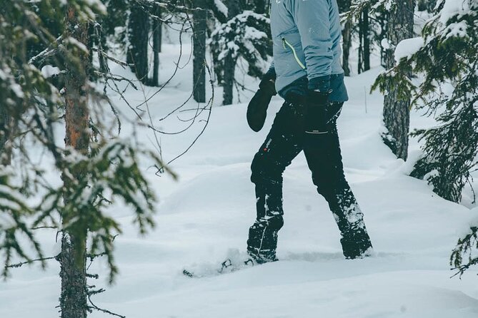 Rovaniemi: Snowshoeing in a magical snowy forest - The Snowshoe Walk: What It Really Means