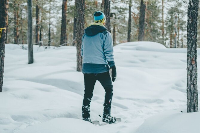 Rovaniemi: Snowshoeing in a magical snowy forest - The Setting: Snowy Taiga Close to Rovaniemi