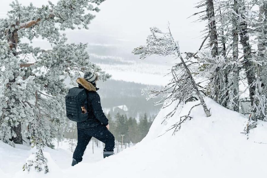 Rovaniemi: Snowshoeing in the Arctic Wilderness - Key things I’d circle before you book