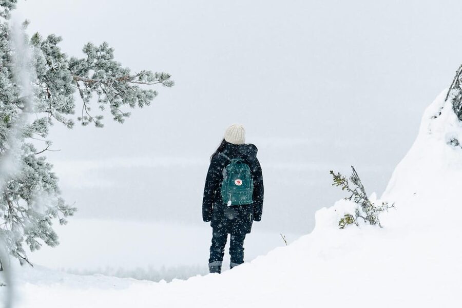Rovaniemi: Snowshoeing in the Arctic Wilderness - Walking stops that actually feel worth it