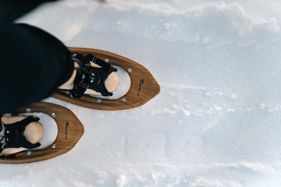 Rovaniemi: Snowshoeing in the Arctic Wilderness - Ecosystem and traditions, explained while you walk