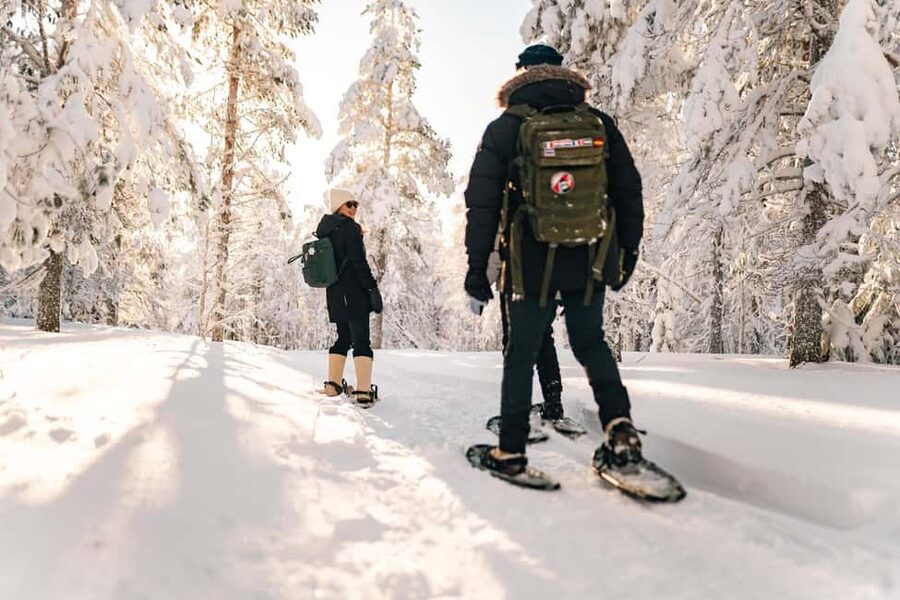 Rovaniemi: Snowshoeing in the Arctic Wilderness - Getting there, pick-up style in Rovaniemi