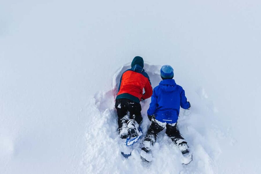 Rovaniemi: Snowshoeing Tour with Wild Lunch and Hotel Pickup - Key things that make this tour work