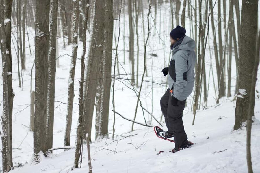 Rovaniemi: Snowshoeing Tour with Wild Lunch and Hotel Pickup - A Cozy Arctic Hike From Rovaniemi, With Snowshoes and a Teepee Lunch