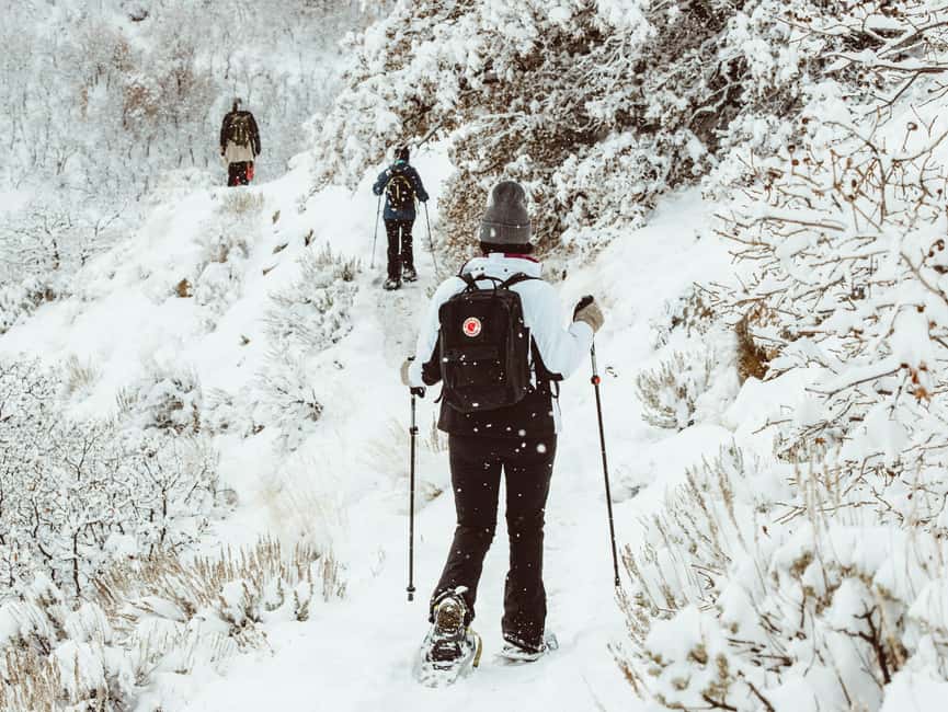 Rovaniemi: Snowshoeing Tour with Wild Lunch and Hotel Pickup - Practical Packing Tips for Winter Comfort (So You Enjoy It)