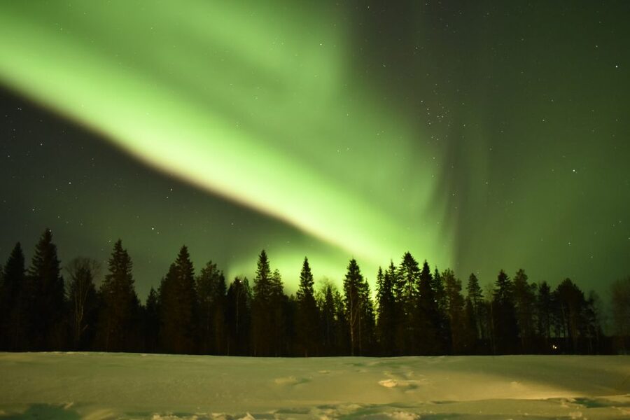 Rovaniemi: Snowtrain to Northern Lights Camp - Price and value: $132 for 3 hours, what you are really paying for