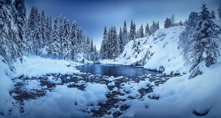 Rovaniemi: Snowy Forest Like in the Movies 3 Hour Tour - Key highlights you will actually feel