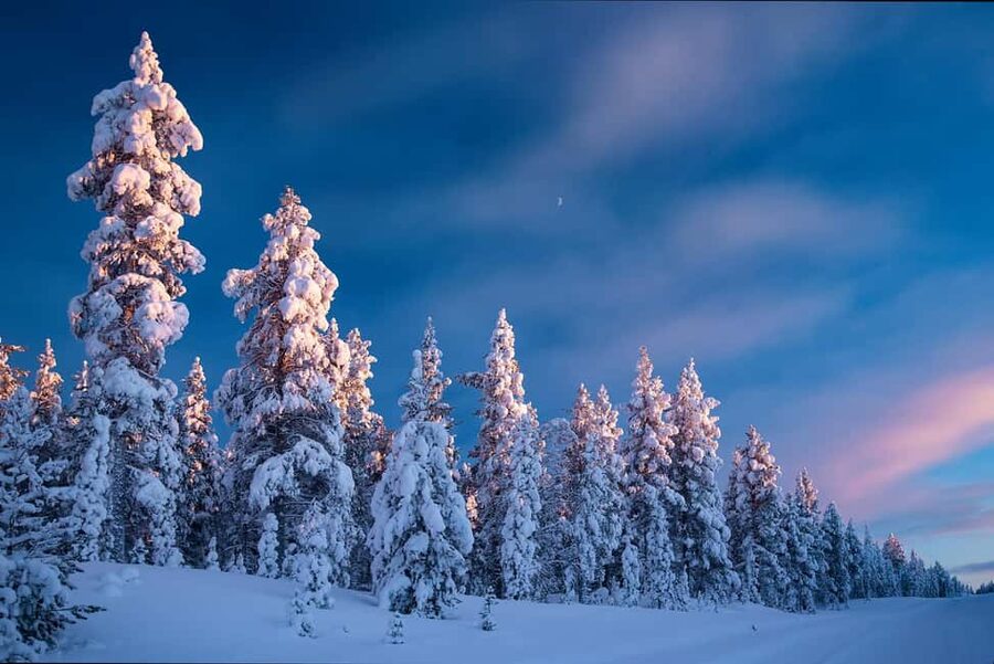 Rovaniemi: Snowy Forest Like in the Movies 3 Hour Tour - Getting Picked Up and Driven in a Warm EV SUV