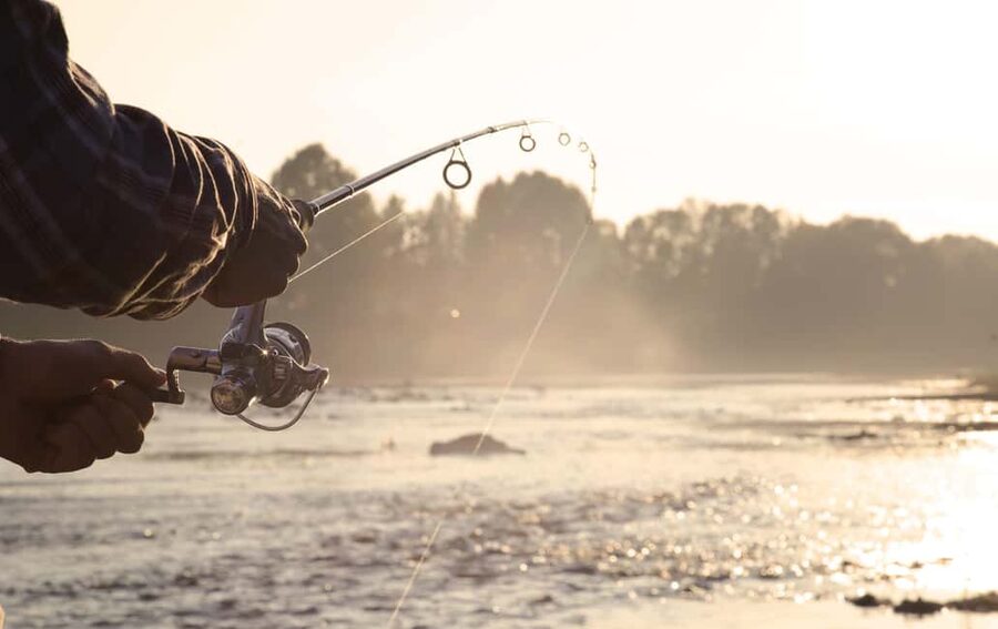 Rovaniemi: Summer & Autumn Fishing Tour in Lapland & BBQ - Price and value: what $128 buys you in real terms