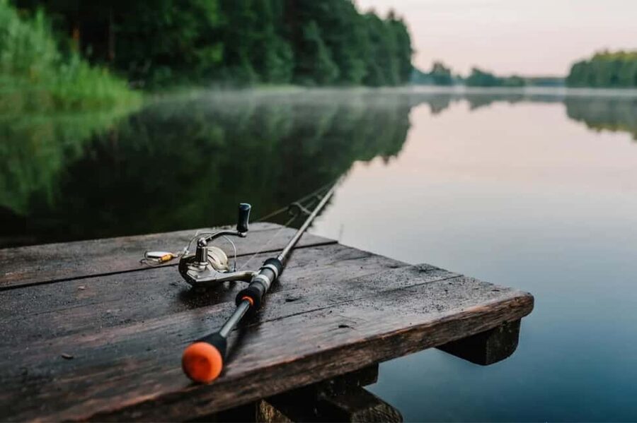 Rovaniemi: Summer & Autumn Fishing Tour in Lapland & BBQ - Getting there in comfort: pickup, the 2025 Tourneo 4x4, and timing