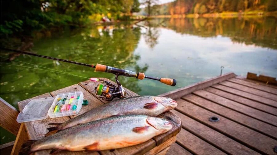 Rovaniemi: Summer & Autumn Fishing Tour in Lapland & BBQ - The season switch: summer light vs autumn color