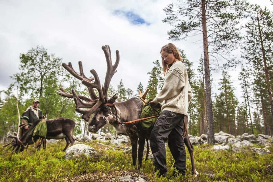 Rovaniemi: Summer/Autumn Reindeer Farm Experience - Price and value: is about $141 per person fair?
