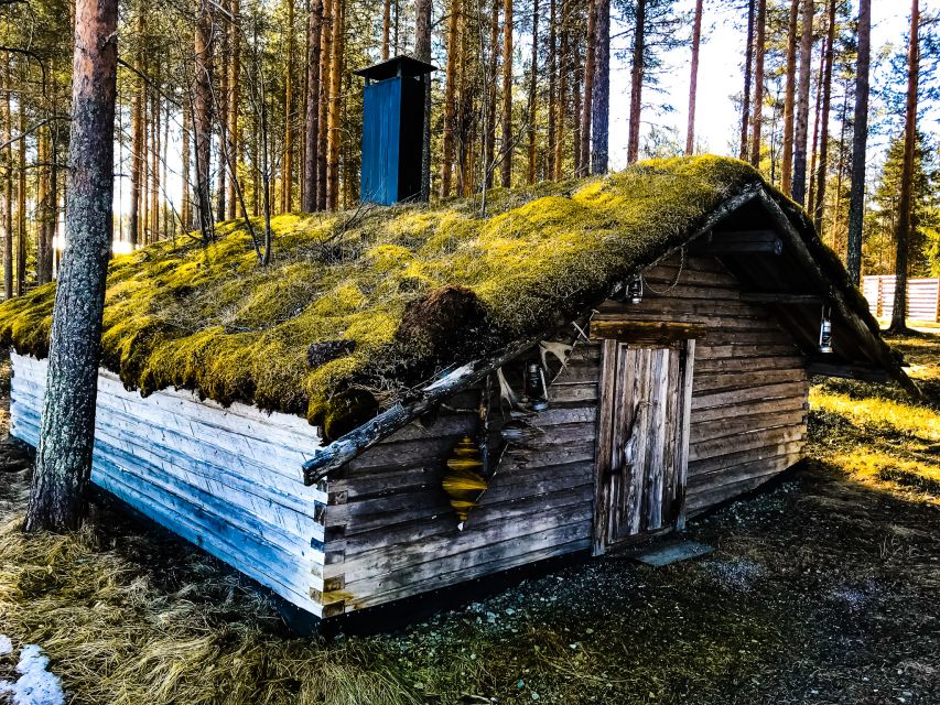 Rovaniemi: Summer Reindeer Farm Experience - Why Summer Reindeer Herding Feels Different Than Winter