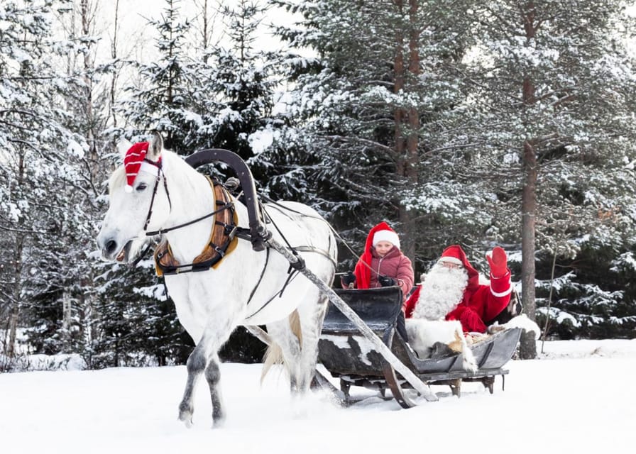 Rovaniemi: Traditional Finnhorse Sleigh Ride at SCV (3km) - Key things that make this ride worth your time