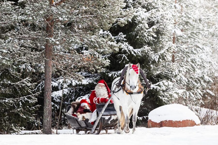 Rovaniemi: Traditional Finnhorse Sleigh Ride at SCV (3km) - Arriving at Aurora Horses Napapiiri, and why it matters