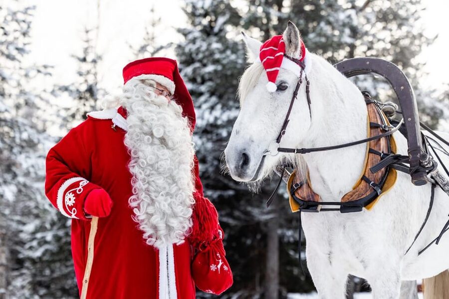 Rovaniemi: Traditional Finnhorse Sleigh Ride at SCV (3km) - The 3 km Finnhorse sleigh ride: calm, cozy, and quietly magical