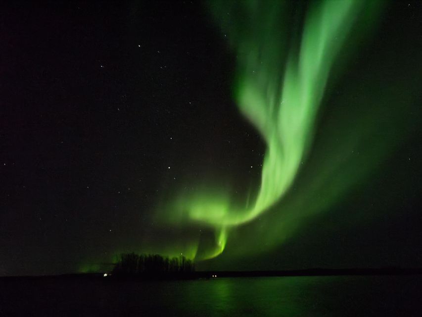 Rovaniemi: Traditional Sauna and Ice Swimming Experience - Why This Sauna and Ice Plunge Feels Truly Lapland