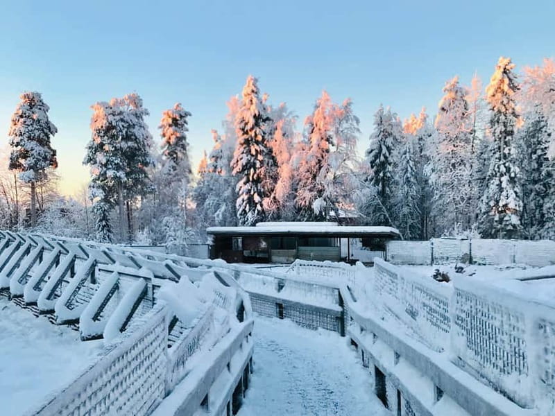Rovaniemi: Trip to Ranua Zoo with Tickets - Should you book this Rovaniemi to Ranua Zoo trip?