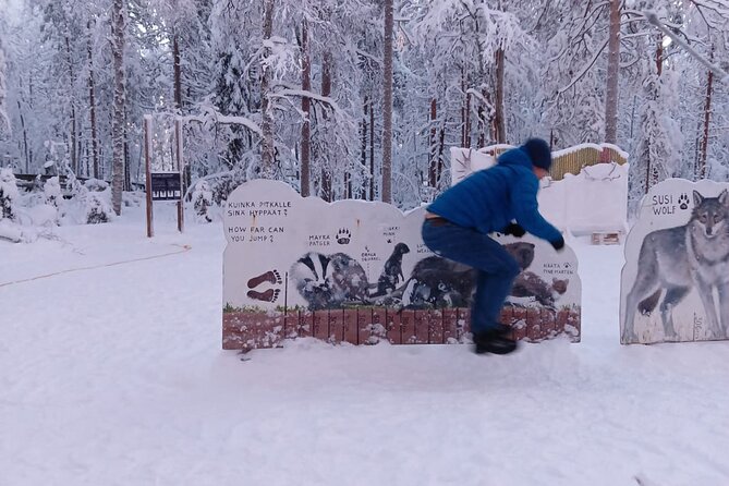 Rovaniemi: Trip to Ranua Zoo with Tickets Included - Why Ranua Zoo Works as a Rovaniemi Half-Day