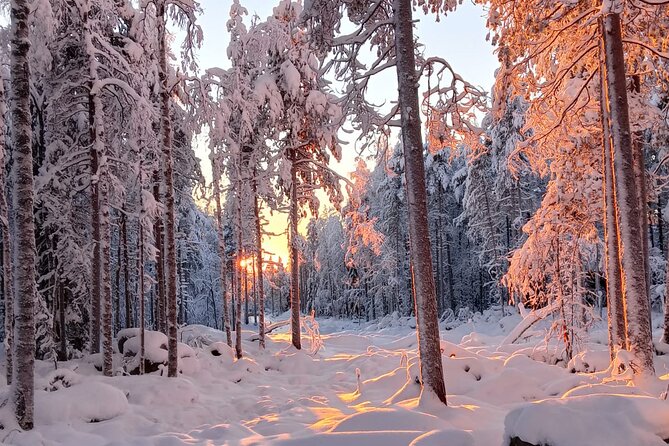 Rovaniemi: Trip to Ranua Zoo with Tickets Included - Transportation and the Small-Group Feel With Uncle Alex