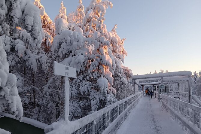 Rovaniemi: Trip to Ranua Zoo with Tickets Included - Price and Value: Is $120.15 Fair for This Day Trip?
