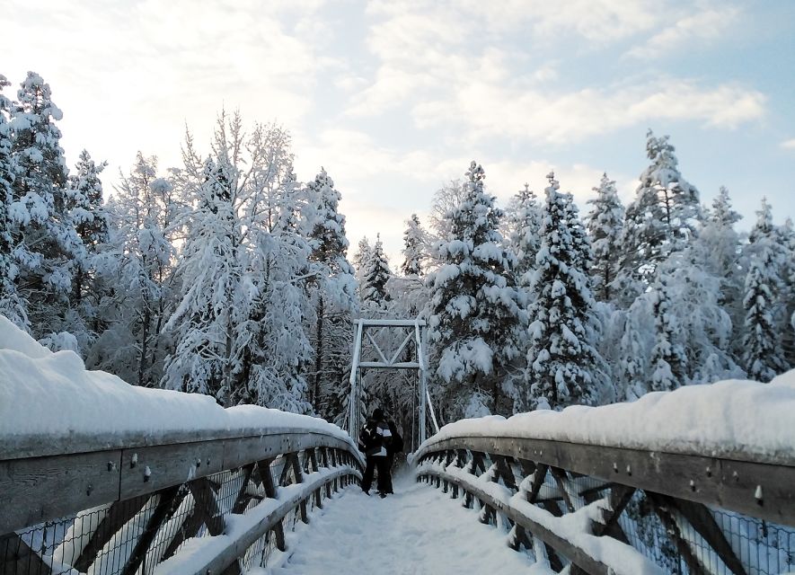 Rovaniemi: Vaattunki Hiking Arctic Circle Trail - Key highlights you will care about