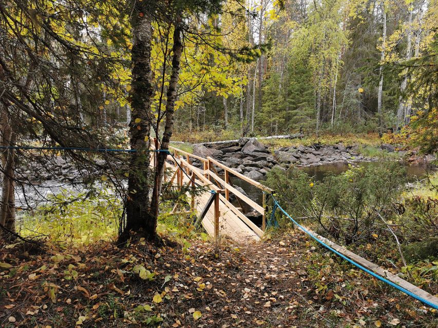 Rovaniemi: Vaattunki Hiking Arctic Circle Trail - Who should book this Vaattunki Arctic Circle hike