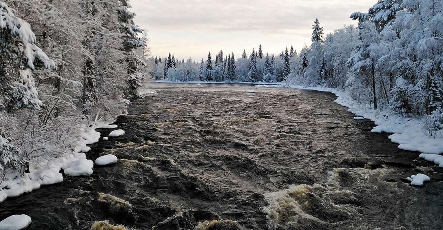 Rovaniemi: Vaattunki Hiking Arctic Circle Trail - The bonfire break: warm food, real stories, and a reset for your legs