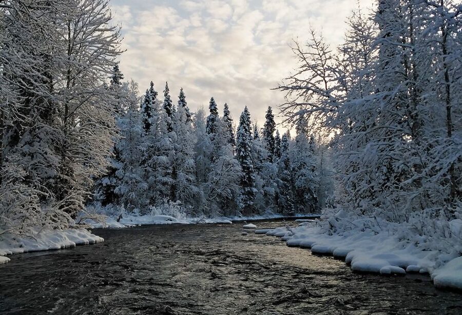 Rovaniemi: Vaattunki Hiking Arctic Circle Trail - What you learn from a short hike in the Lapland outdoors