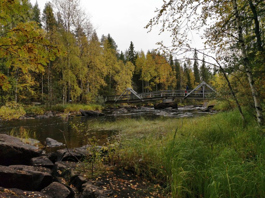Rovaniemi: Vaattunki Hiking Arctic Circle Trail - Price and value: is $104 fair for this Arctic Circle hike?