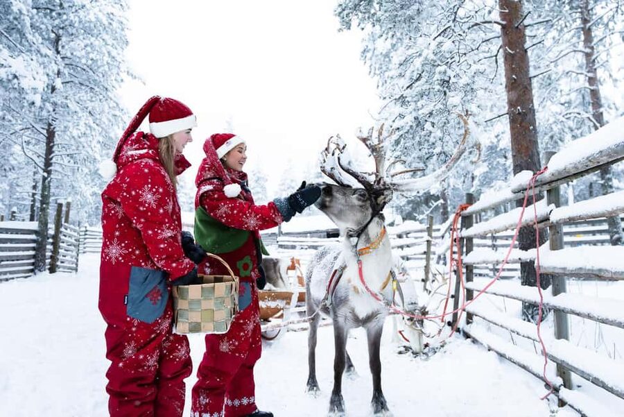 Rovaniemi: Visit to Santa's reindeer farm with reindeer ride - Elf Guidance And Reindeer Herder Stories: What Happens Before The Ride