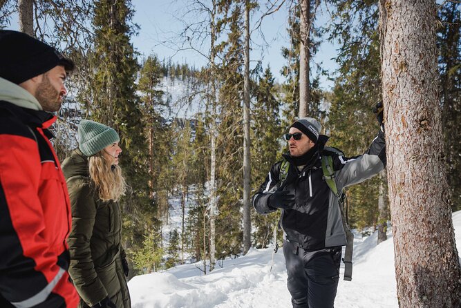 Rovaniemi - Visit to The Frozen Waterfalls of Korouoma - Campfire BBQ lunch: what keeps you warm and moving