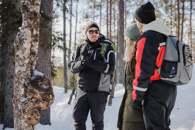 Rovaniemi - Visit to The Frozen Waterfalls of Korouoma - Price and value: what makes it worth your time