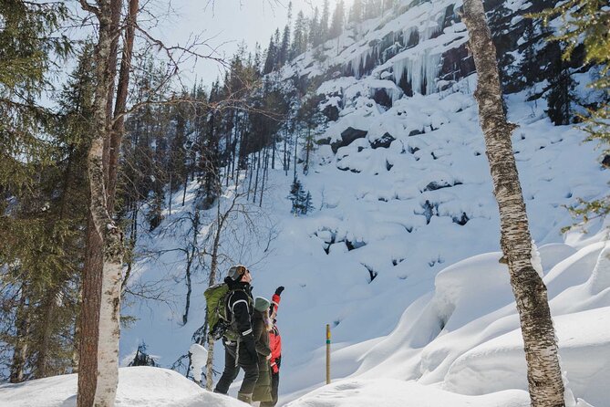 Rovaniemi - Visit to The Frozen Waterfalls of Korouoma - Who this tour is best for, and who should rethink it