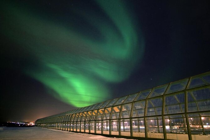 Rovaniemi walking tour and guided Arktikum experience - Key things to know before you go